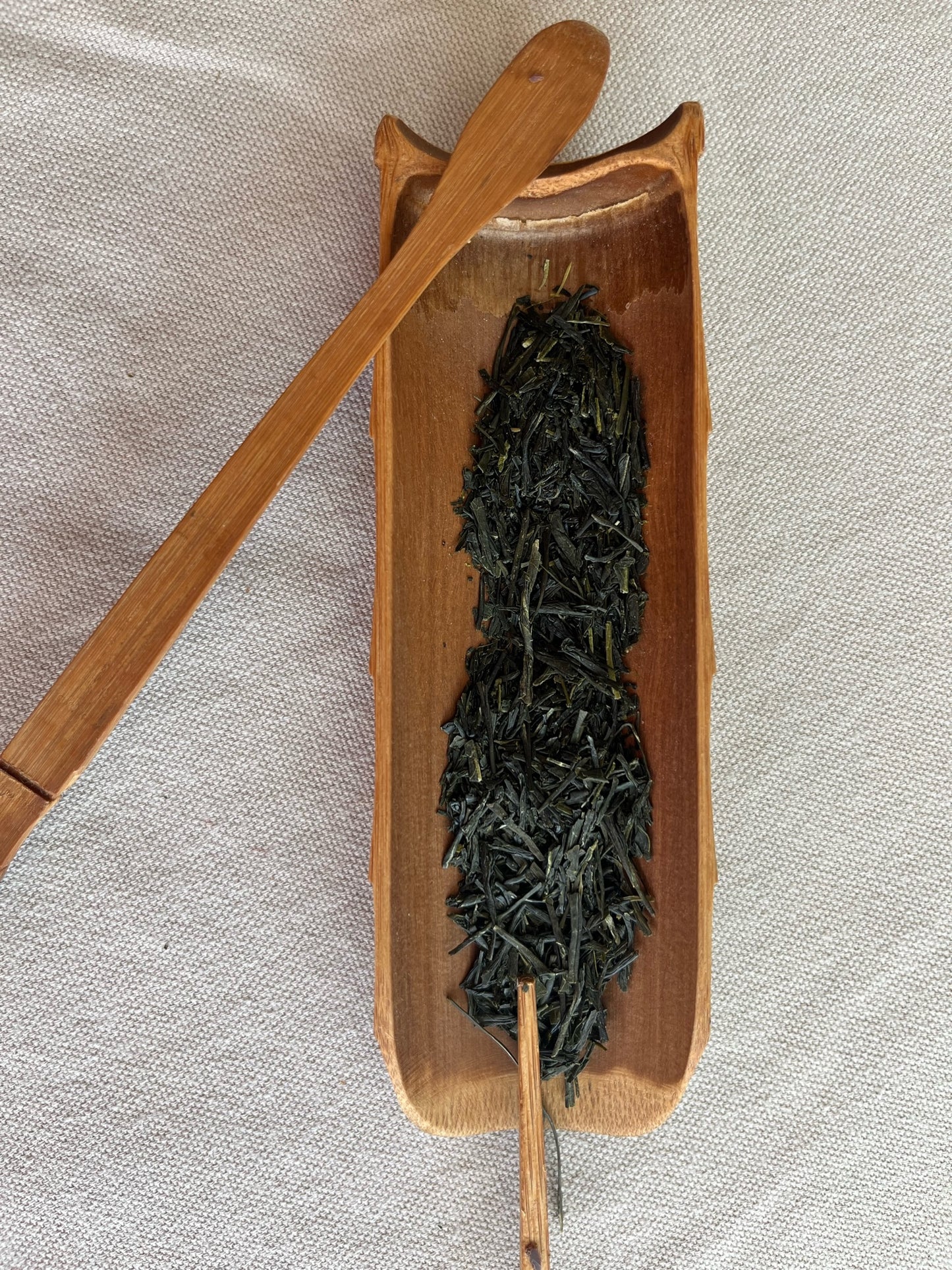 Gyokuro 1ère chasse