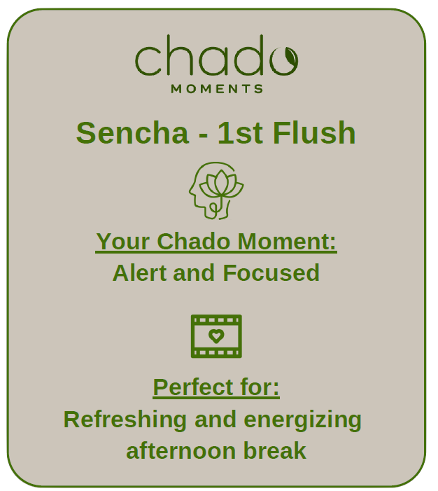 Sencha 1ère récolte