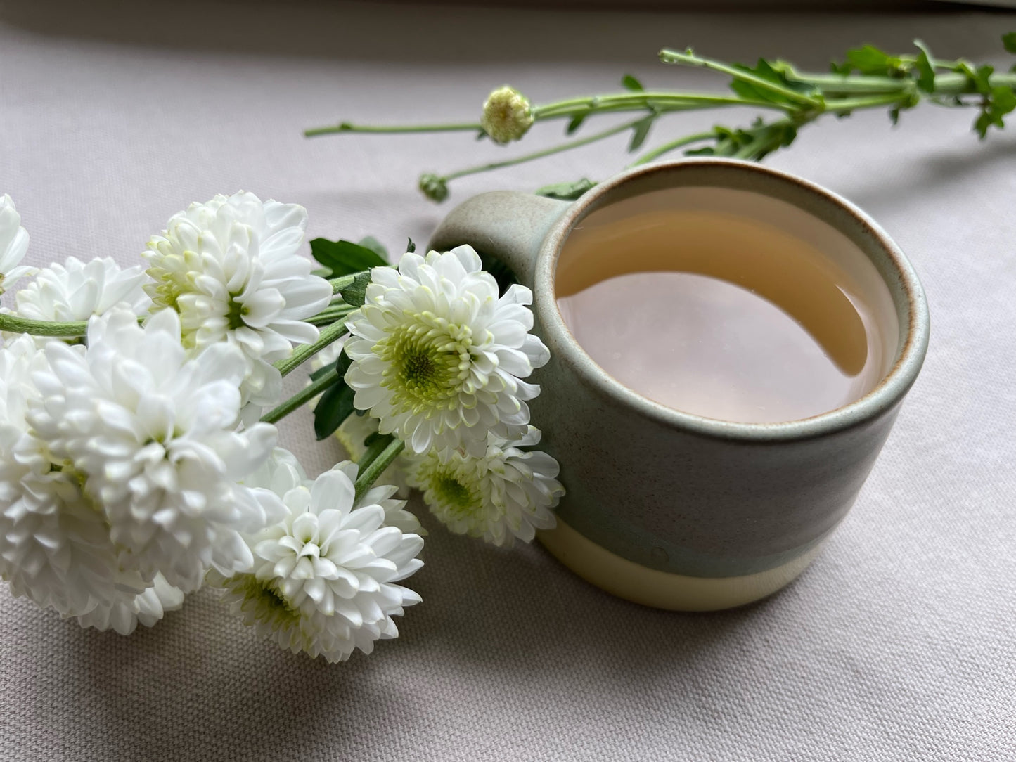 Bai Mu Dan - Pivoine Blanche