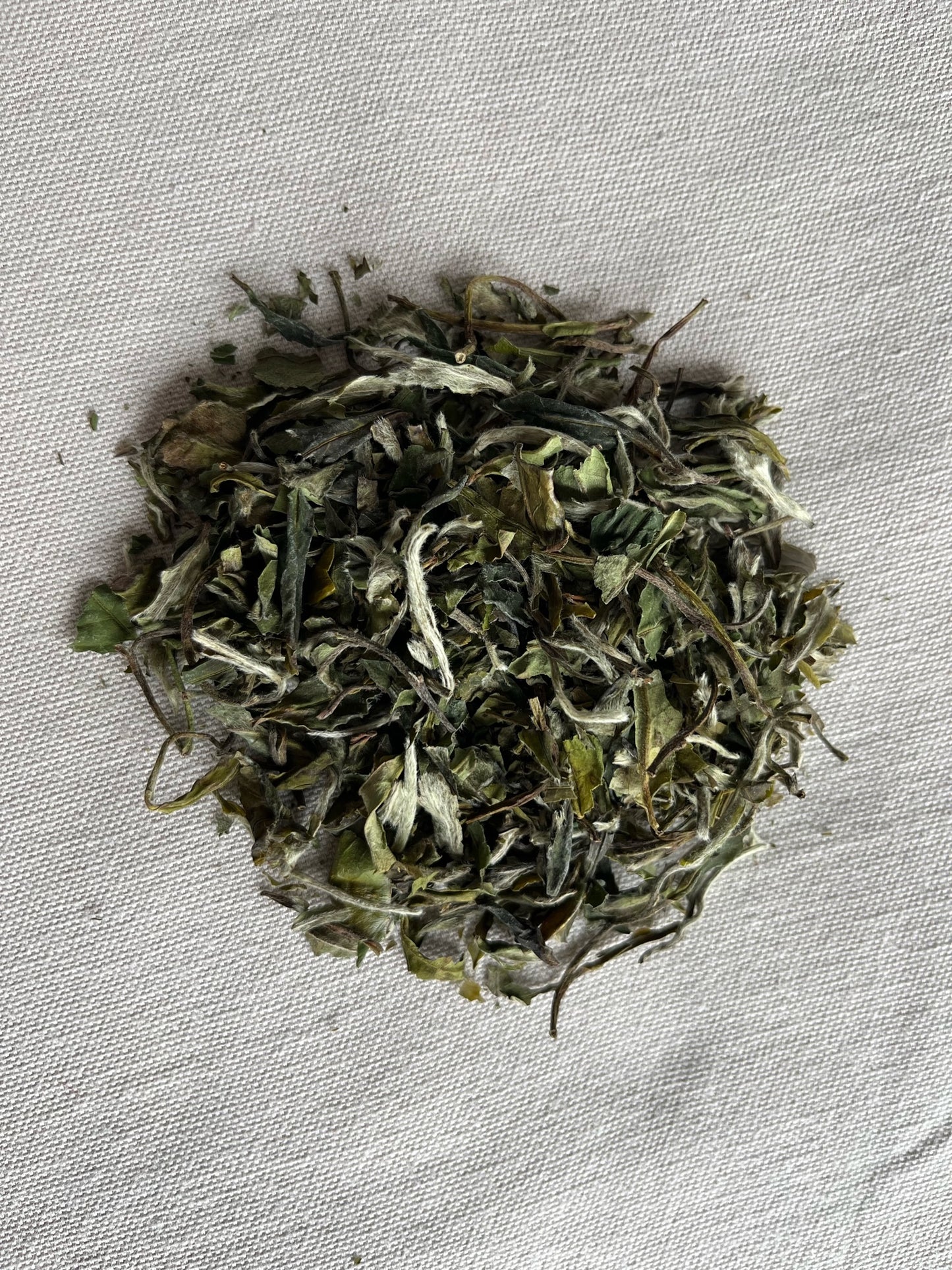 Bai Mu Dan - Pivoine Blanche