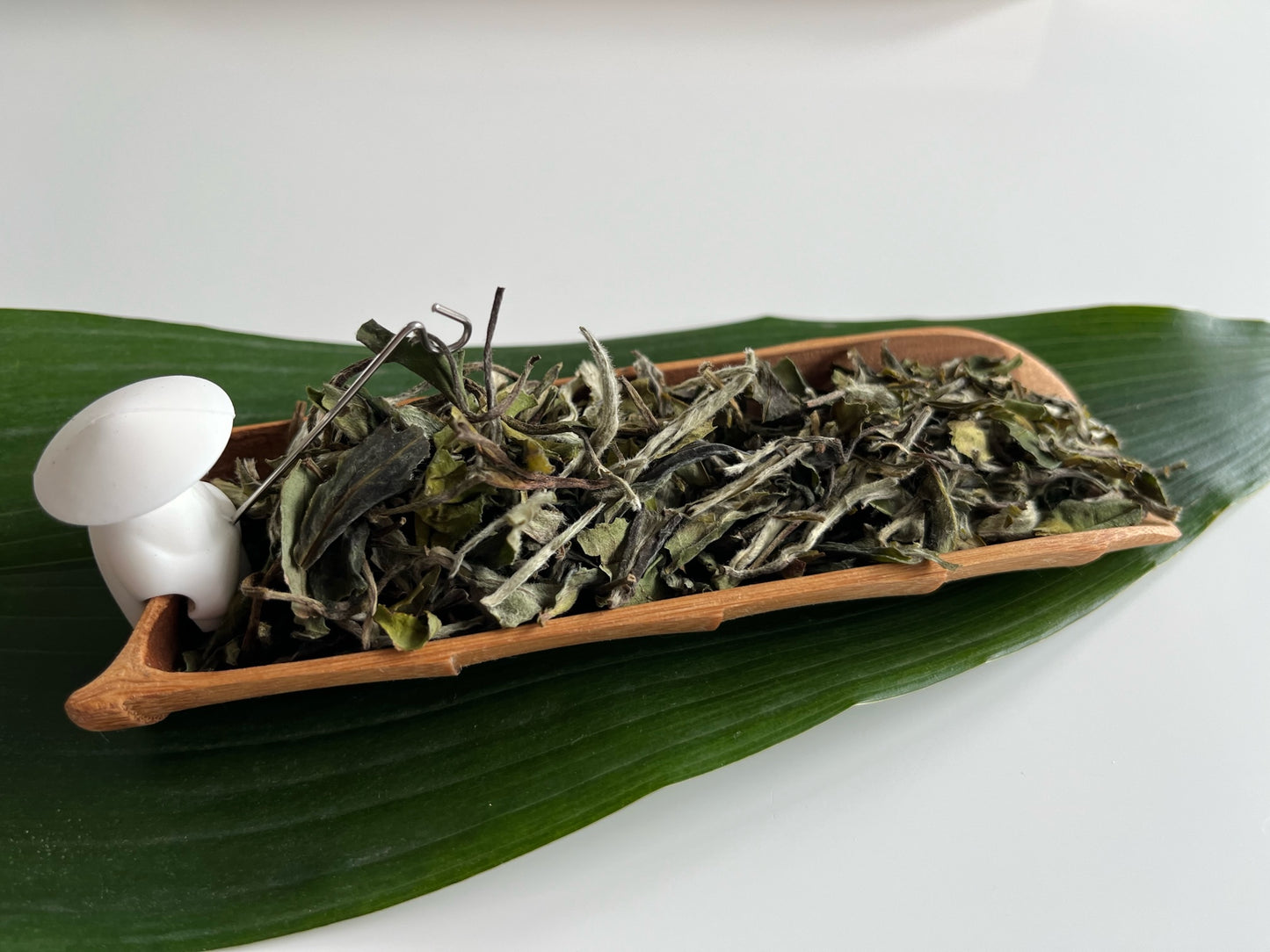 Bai Mu Dan - Pivoine Blanche